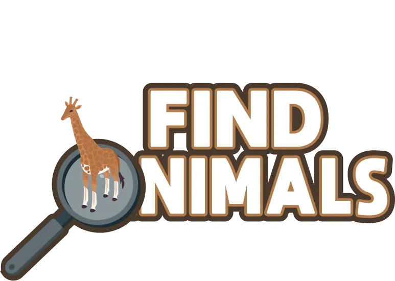 Find Animals